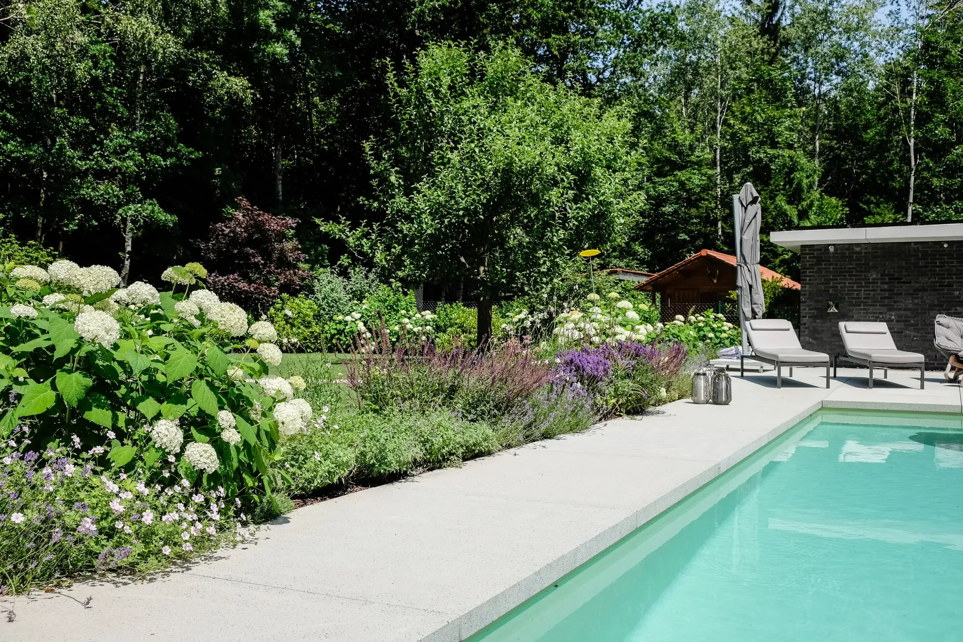 Gegensätze sind anziehend – Garten in Baldham – Impression