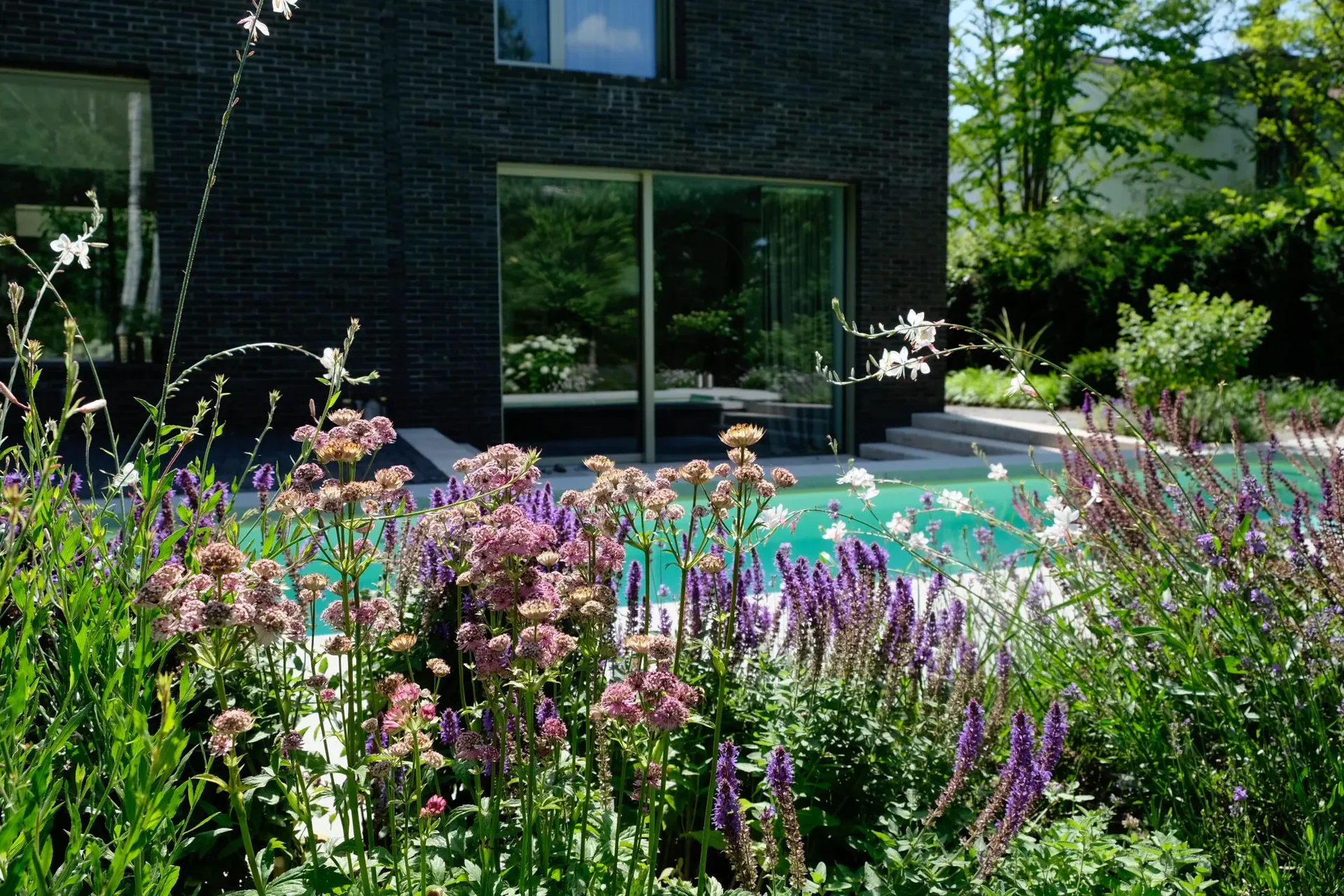 Gegensätze sind anziehend – Garten in Baldham – Impression